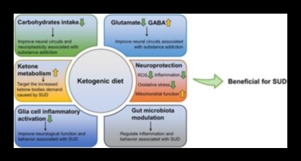 Keto ve Otoimmün Durumlar: Bağlantıları Keşfetmek