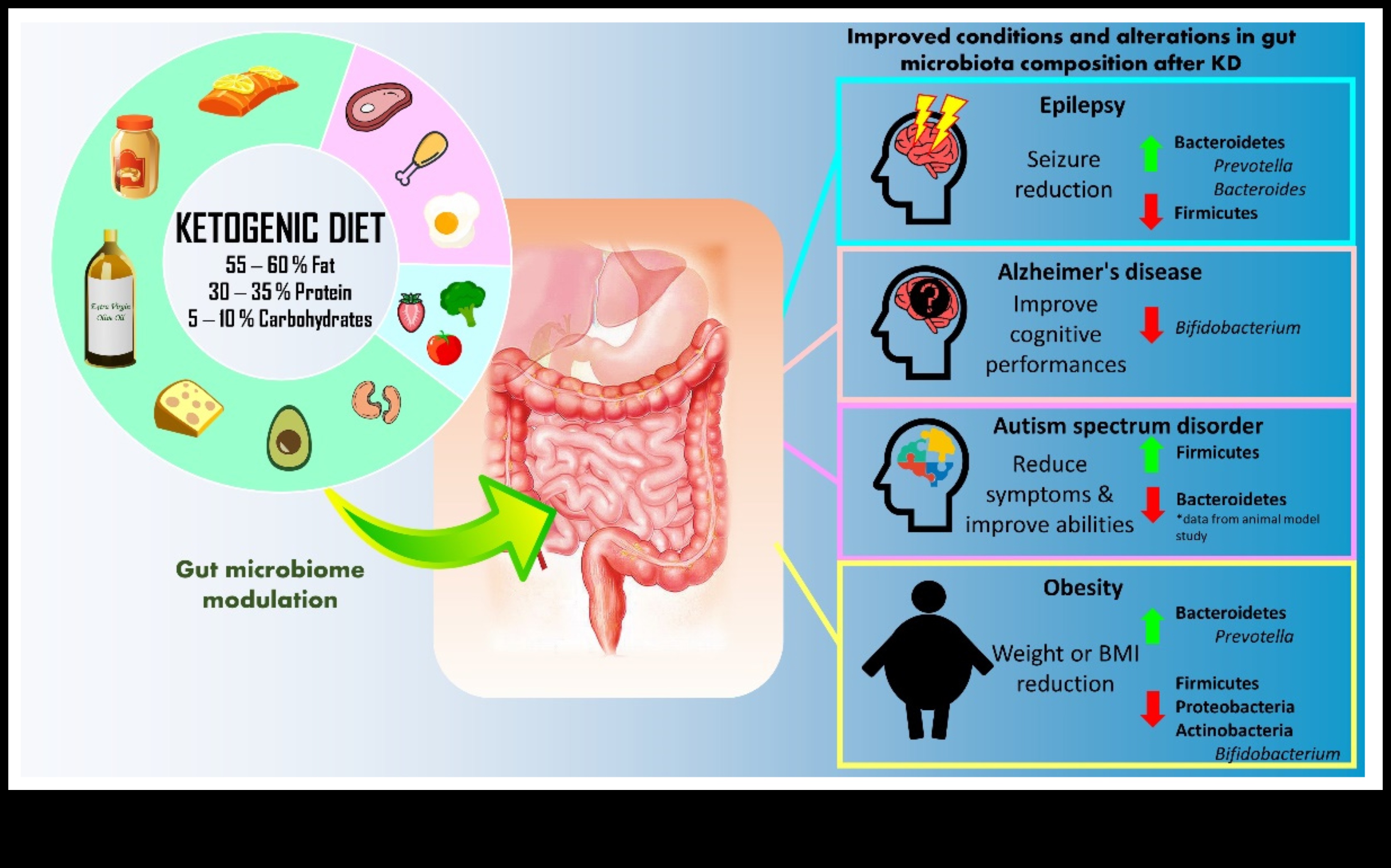 Keto ve Otoimmün Durumlar: Bağlantıları Keşfetmek